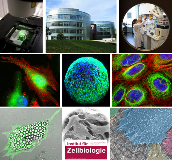 top_Institut_fuer_Zellbiologie