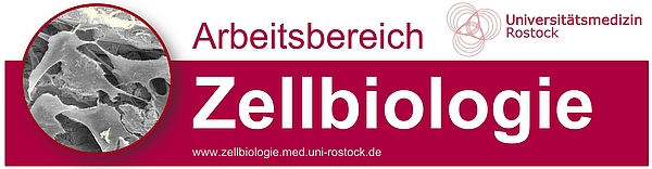 Logo Arbeitsbereich Zellbiologie