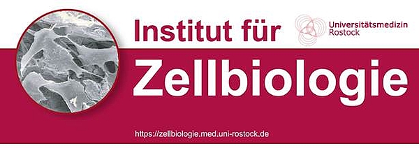 Banner of the Institute for Cell Biology